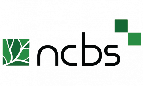 NCBS Field Workers Recruitment 2025