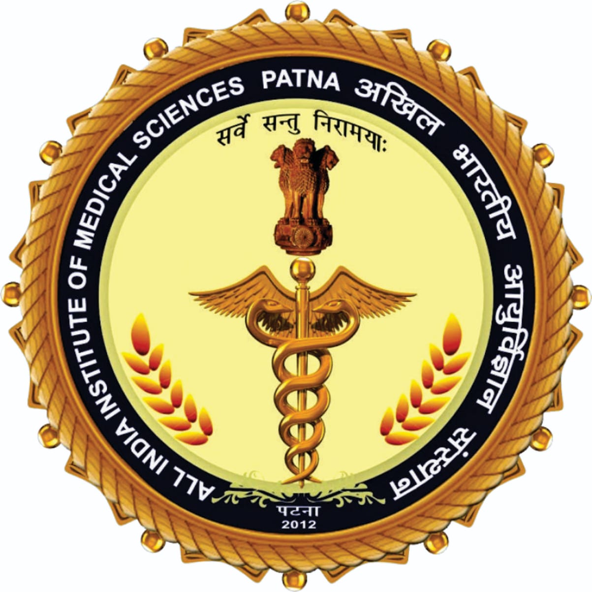 AIIMS Patna Project Technical Officer Vacancy 2025
